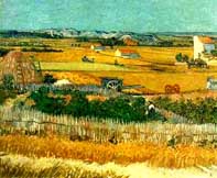 Harvest at La Crau